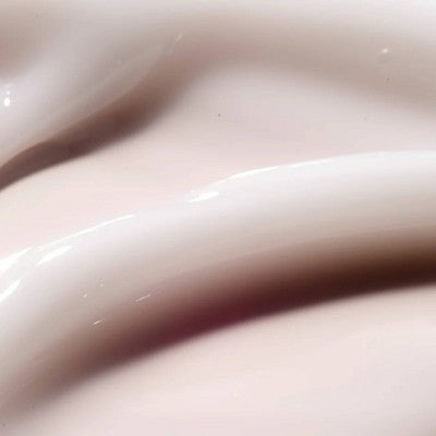 The Face Shop Rice Water Bright Vegan Cream 1.69 fl oz - New